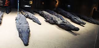 Click to open image!