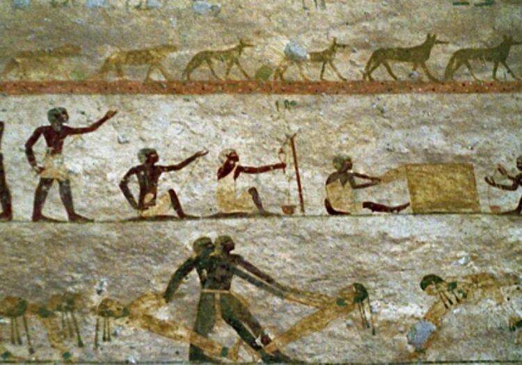 Click to open image!