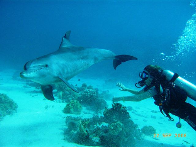 Click to open image!