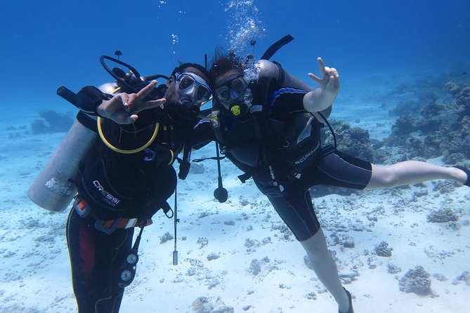 Click to open image!