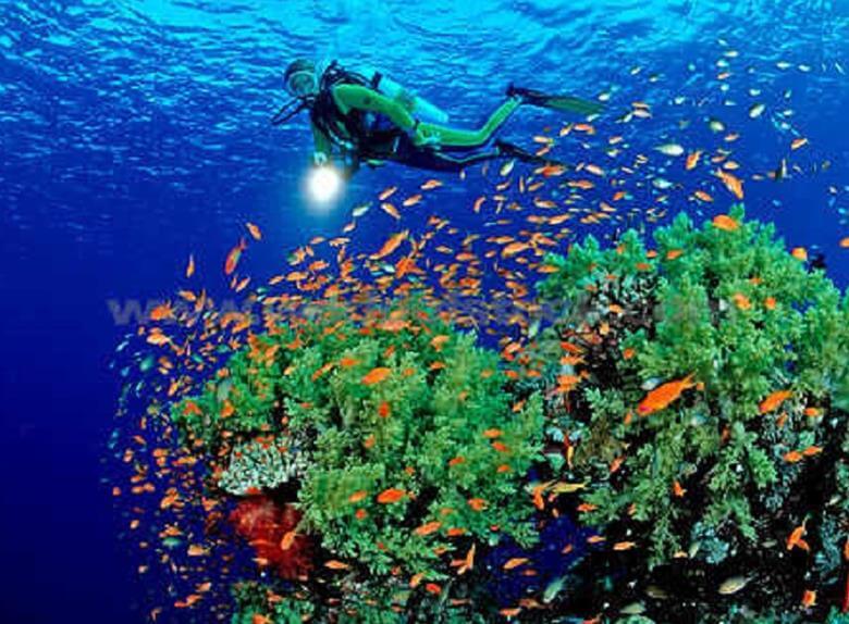 Click to open image!