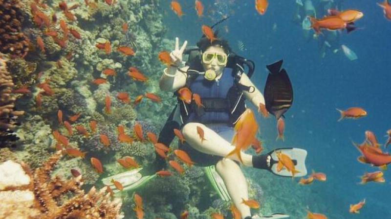 Click to open image!