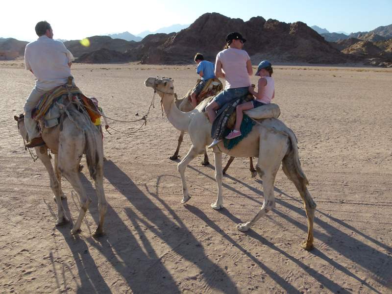 Click to open image!