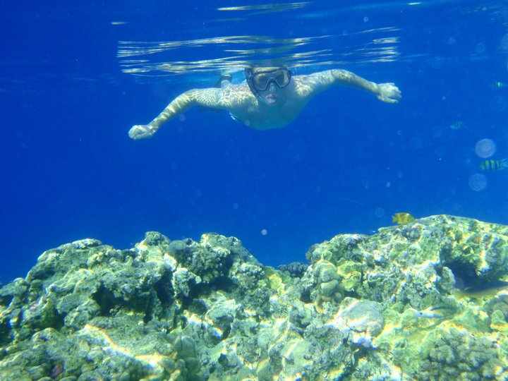 Click to open image!