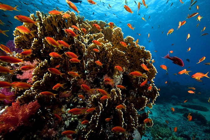 Click to open image!