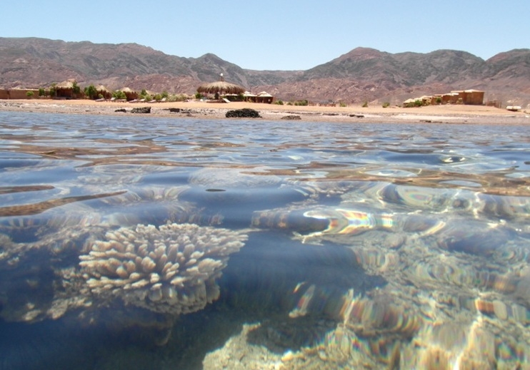 Click to open image!