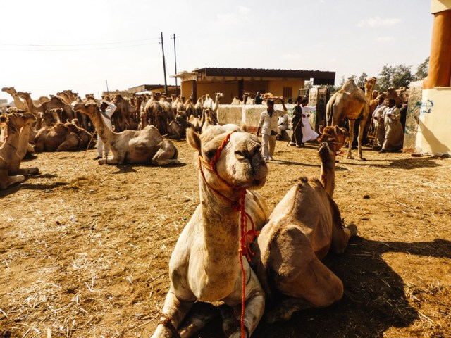 Click to open image!