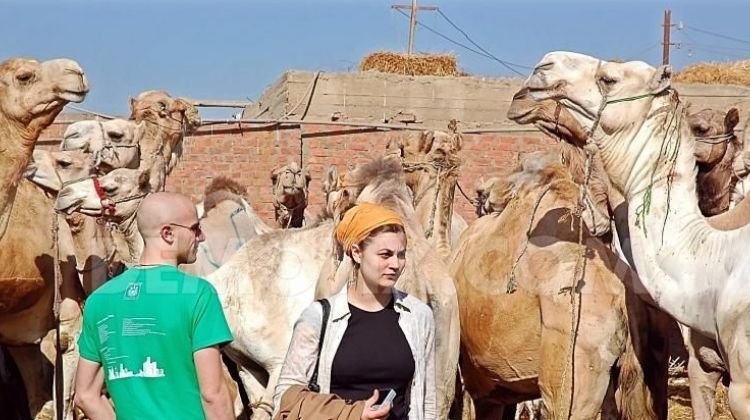 Click to open image!