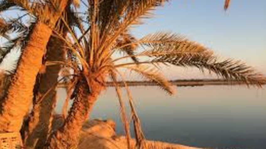 Click to open image!