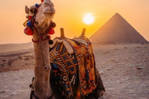 Day trip to the pyramids and museum and Khan El khalili