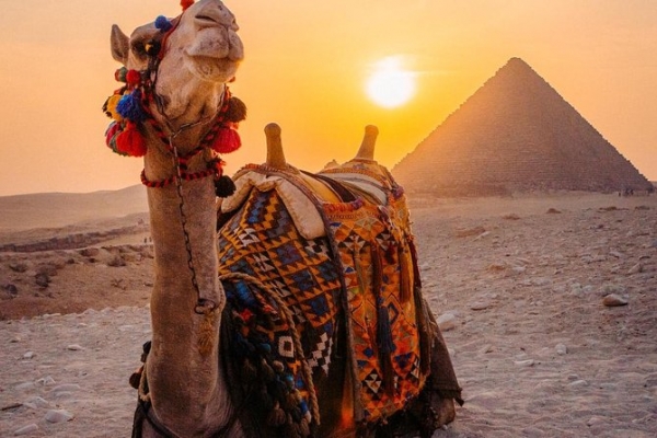 Day trip to the pyramids and museum and Khan El khalili