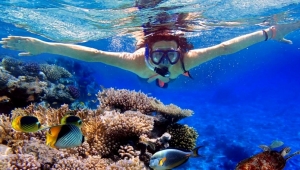 Ras Mohammed from Sharm el Sheikh Port