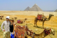 Day Tour to Cairo from Alexandria Port